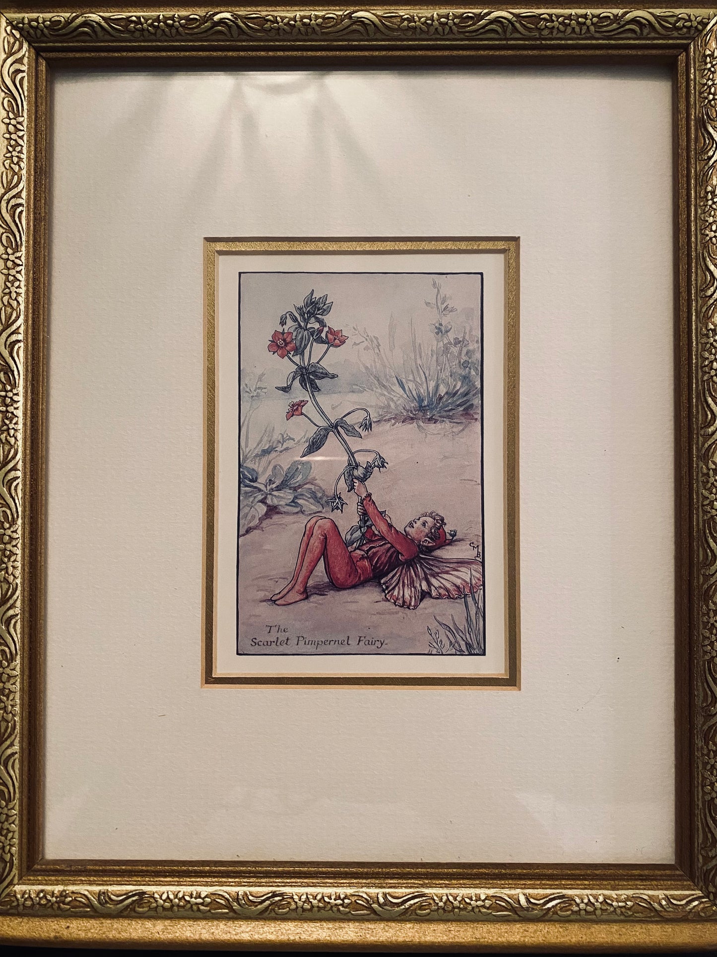 Gold Framed Fairy Print, Scarlet Pimpernel from Cicely Mary Barker’s Flower Fairies
