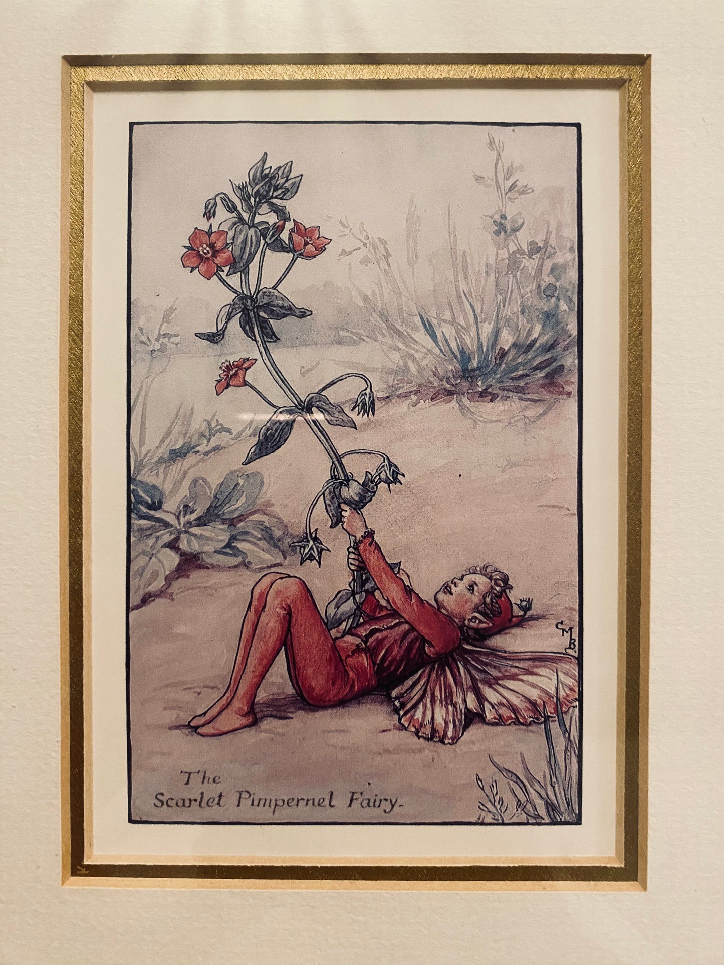 Pair of Gold Framed Fairy Prints, Scarlet Pimpernel and Snowdrop from Cicely Mary Barker’s Flower Fairies