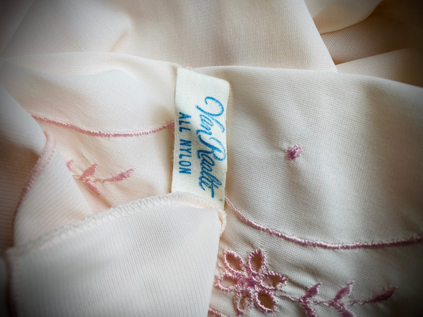 SOLD ✨Sophia✨ Pale pink Van Raalte Vintage Nylon Embroidered Floral Slip
